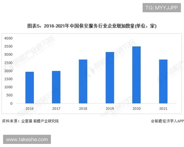 开云中国关网事件背后原因分析与未来发展趋势探讨